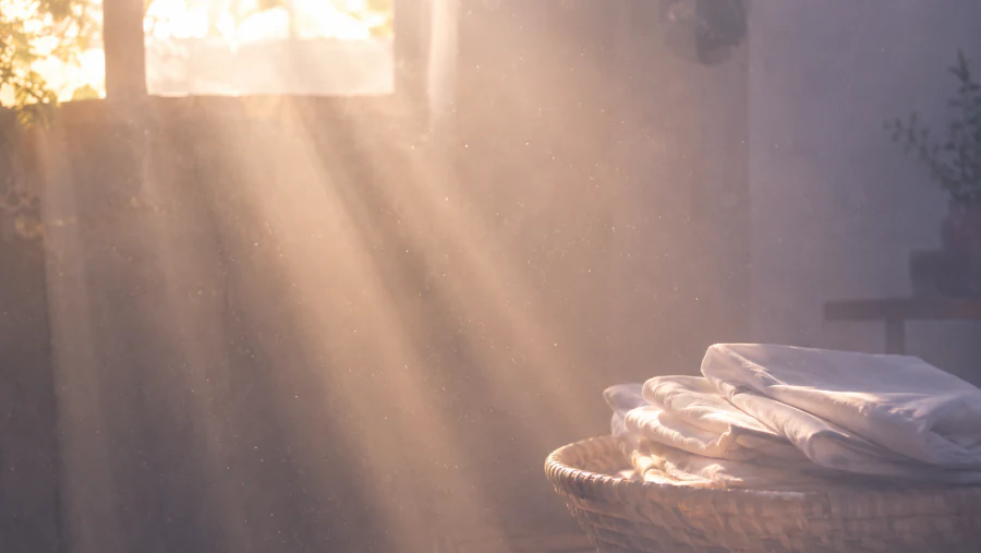 Lumière du matin sur du linge propre.